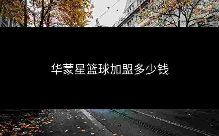 华蒙星篮球加盟多少钱